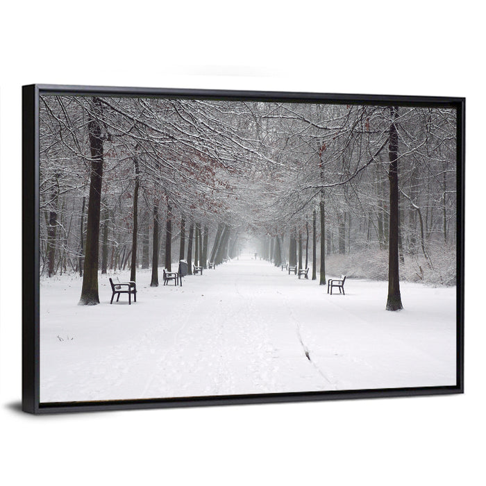 Snow Covered Park Lane Wall Art as a framed canvas
