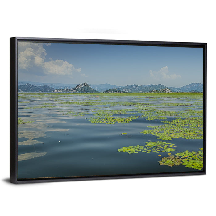 Lake Skadar Water Lilies Wall Art as a framed canvas