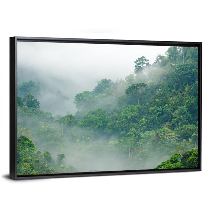 Misty Rainforest Morning Wall Art as a framed canvas