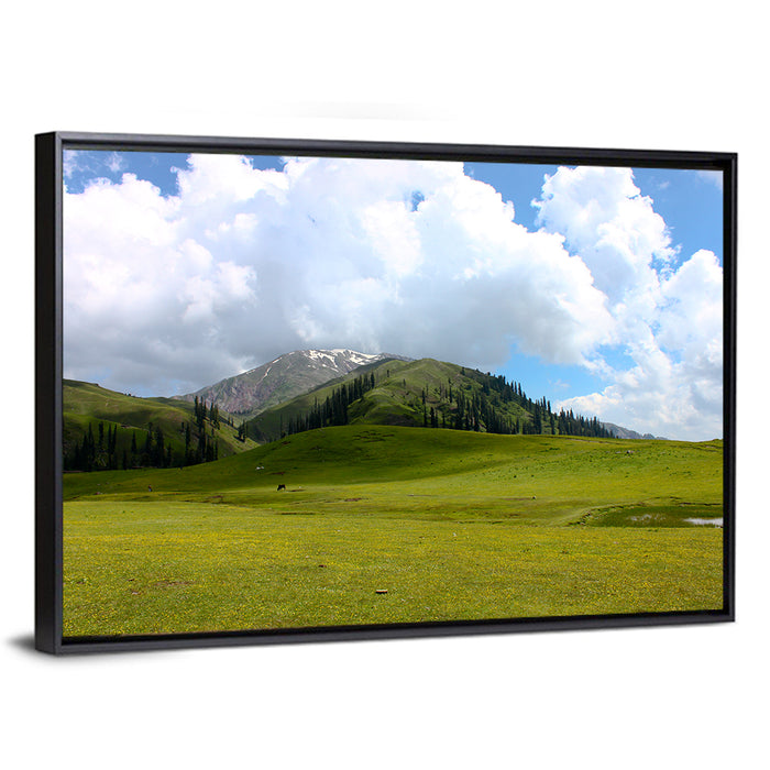Seri Paya Mountain Meadow Wall Art as a framed canvas