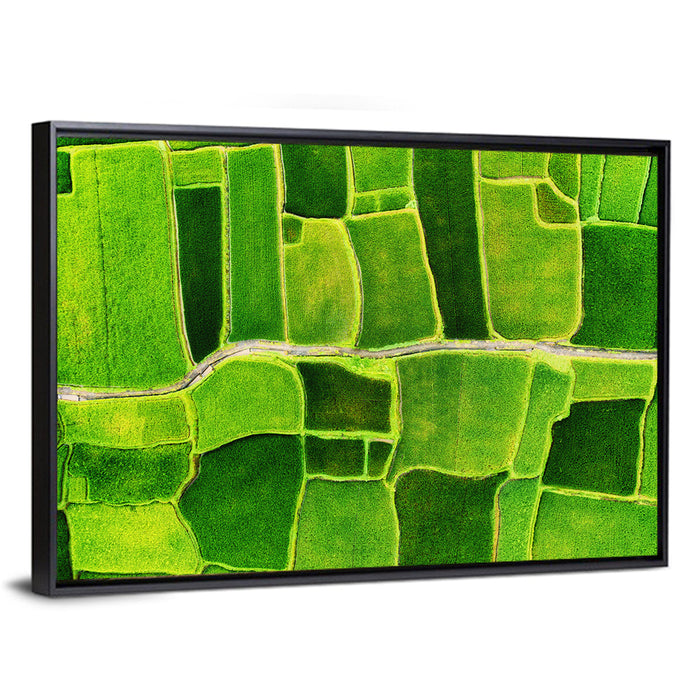 Verdant Rice Terrace Grid Wall Art as a framed canvas