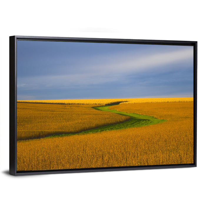 Golden Hour Soybean Field Wall Art as a framed canvas