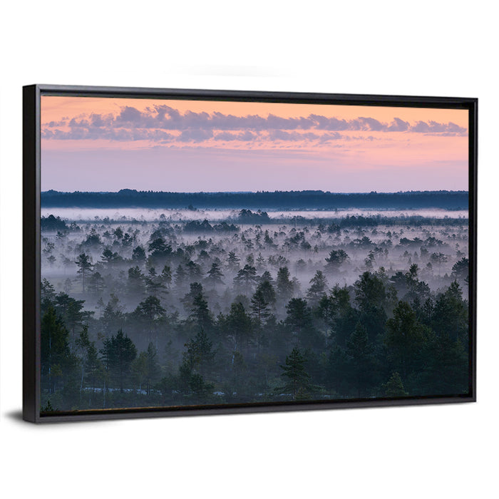 Estonian Misty Pine Landscape Wall Art as a framed canvas