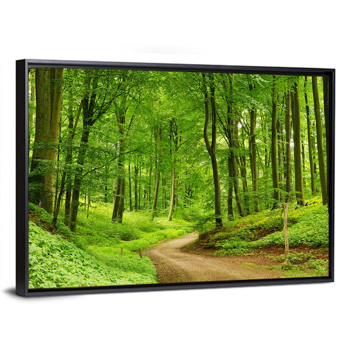 Sunlit Forest Path Wall Art as a framed canvas
