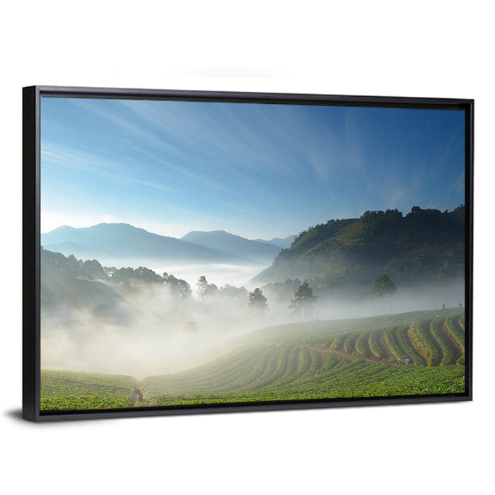 Sunlit Terraced Tea Hills Wall Art as a framed canvas