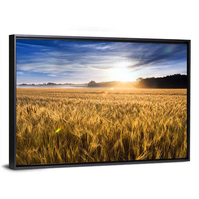 Golden Hour Wheat Field Wall Art as a framed canvas