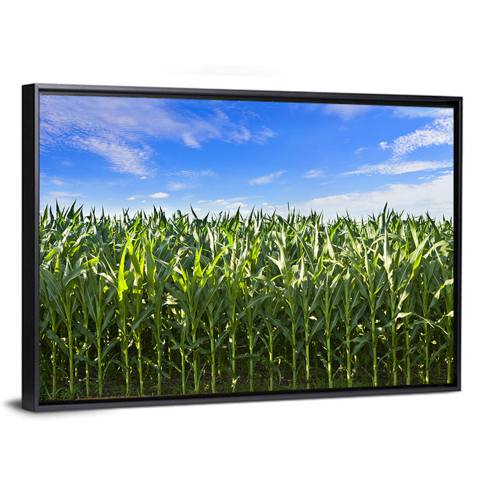 Green Corn Field Wall Art as a framed canvas