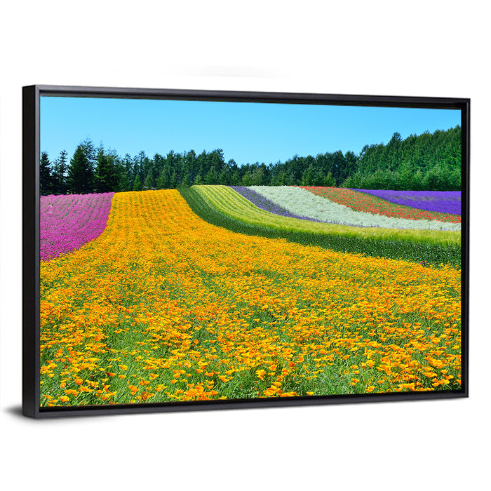 Tomita Flower Fields, Nakafurano Wall Art as a framed canvas