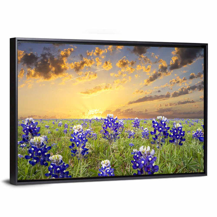 Bluebonnet Field at Sunset Wall Art as a framed canvas
