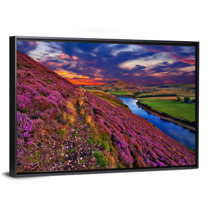 Pentland Hills Heather, Edinburgh Wall Art as a framed canvas