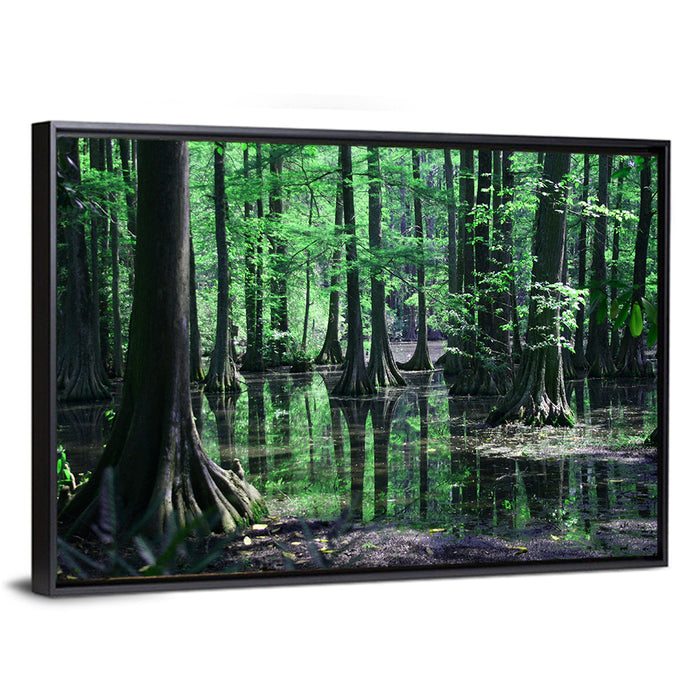 Congaree Swamp Reflection Wall Art as a framed canvas