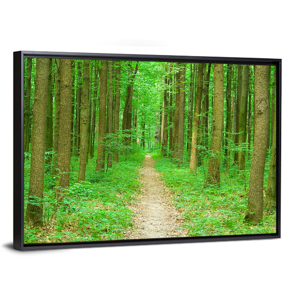 Green Forest Pathway Wall Art, framed canvas, landscape