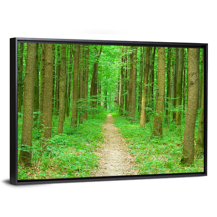 Green Forest Pathway Wall Art as a framed canvas