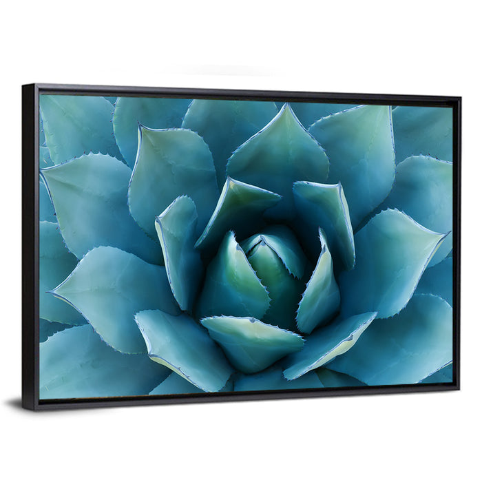 Spiral Agave Macro Wall Art as a framed canvas
