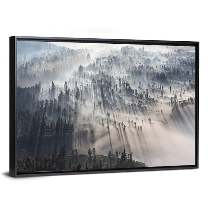 Misty Forest Sunrise Wall Art as a framed canvas