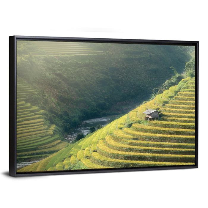 Golden Rice Terraces Wall Art as a framed canvas