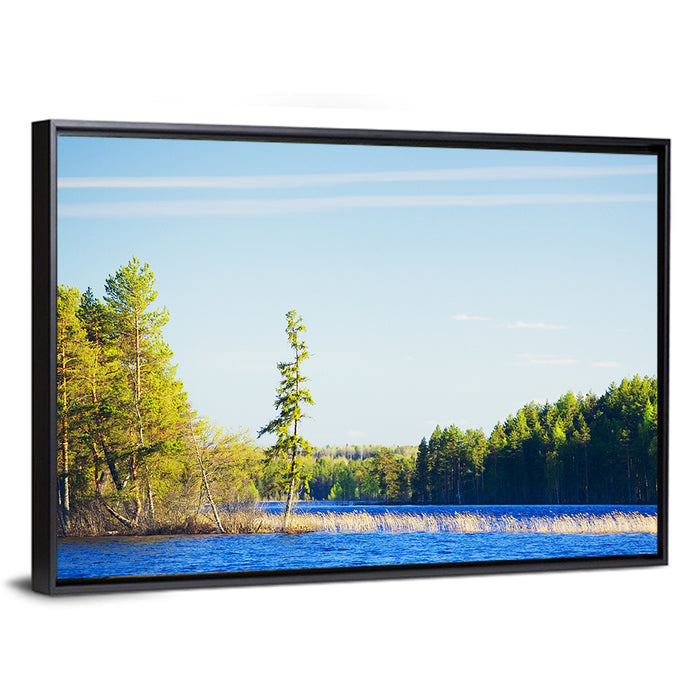 Summer Forest Lake Shoreline Wall Art as a framed canvas