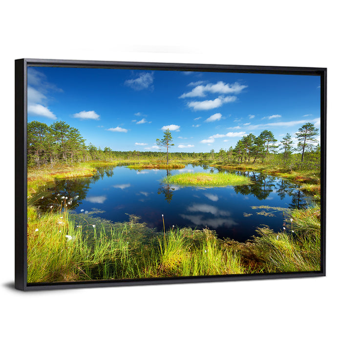 Viru Bogs Reflections Wall Art as a framed canvas