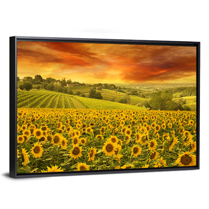 Sunflower Field at Golden Hour Wall Art as a framed canvas
