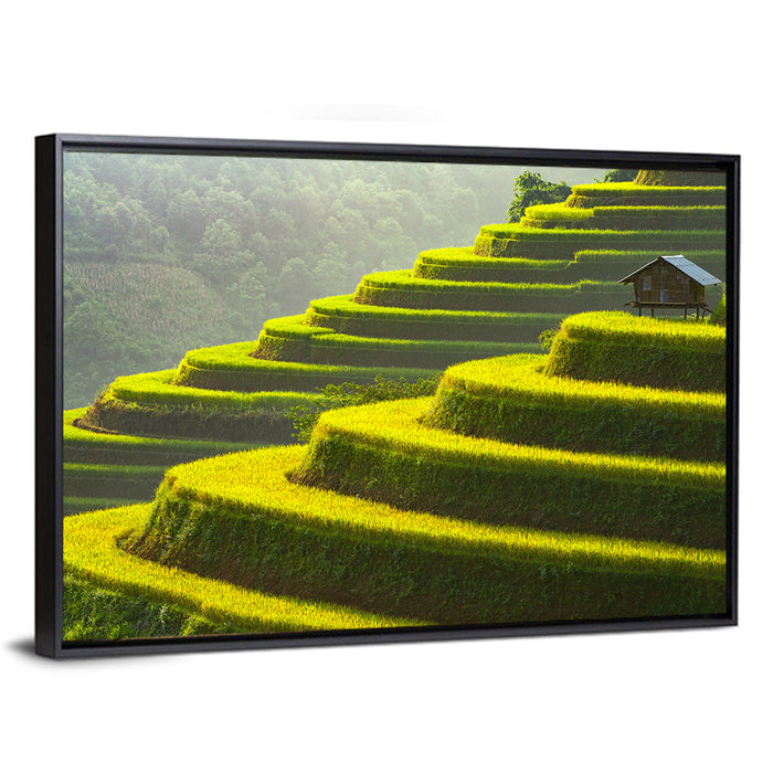 Golden Rice Terraces Wall Art as a framed canvas