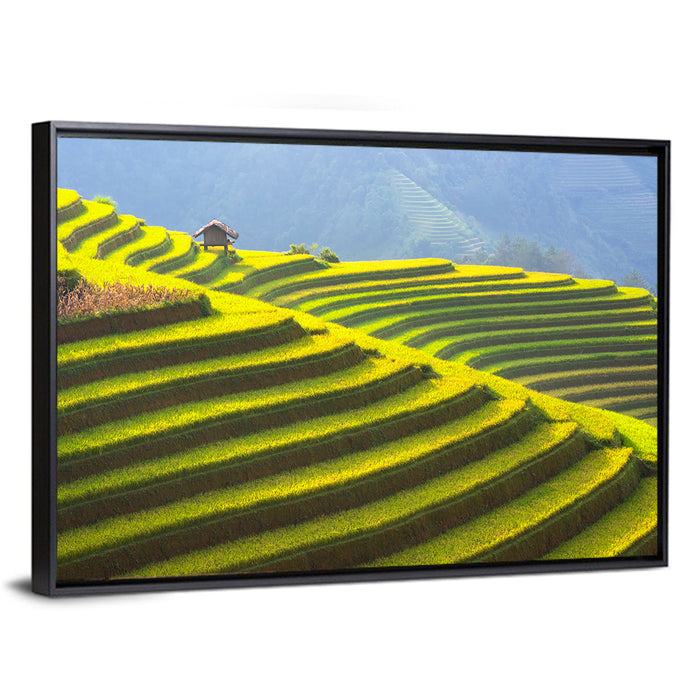 Mu Cang Chai Rice Terraces Wall Art as a framed canvas
