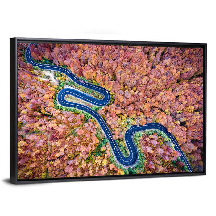 Serpentine Autumn Road Wall Art as a framed canvas