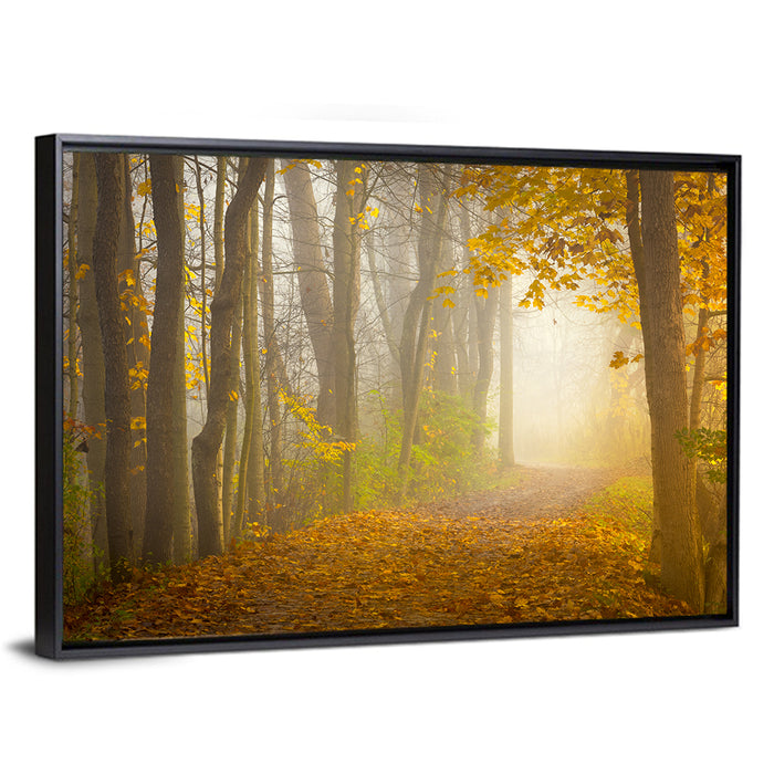Cuyahoga Valley Autumn Path Wall Art as a framed canvas