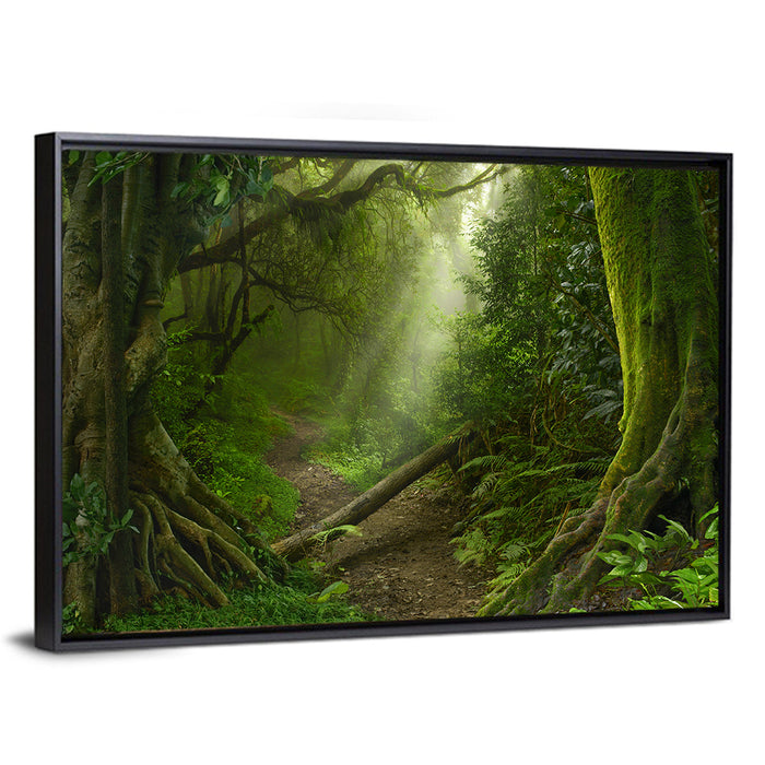 Moss-covered Rainforest Path Wall Art as a framed canvas