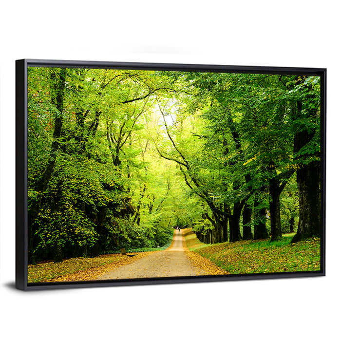 Sunlit Forest Pathway Wall Art as a framed canvas
