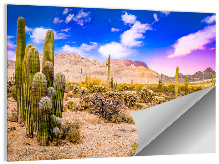 Arizona Saguaro Sunset Wall Art as a poster print