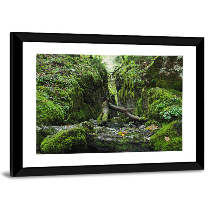 Kammersee Mossy Cleft Wall Art as a framed print