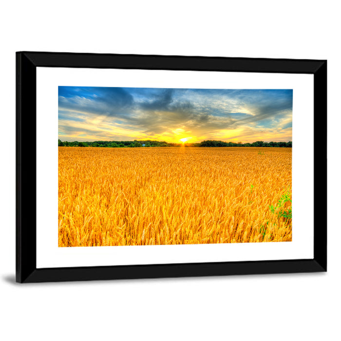 Wheat Field Sunset Wall Art as a framed print
