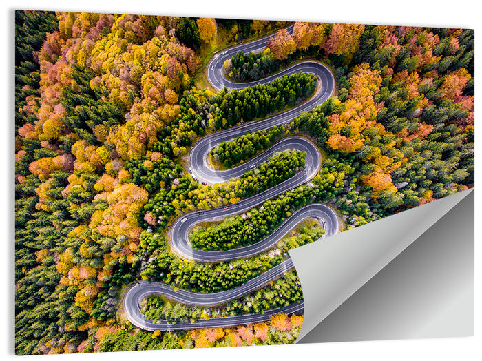 Autumn Winding Forest Road Wall Art as a poster print