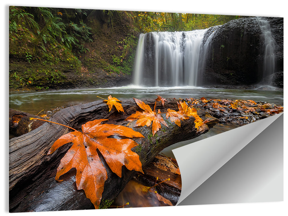 Clackamas Waterfall with Maple Leaf Wall Art