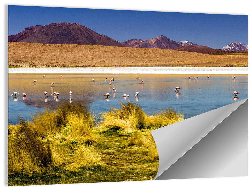 Flamingos on Salt Lake Wall Art