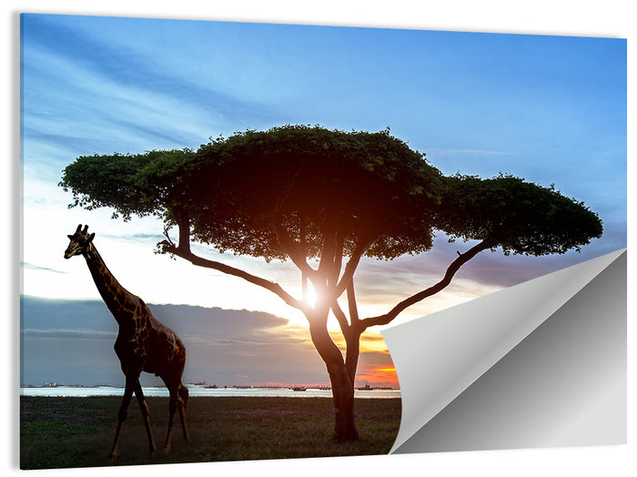Savanna Silhouettes at Golden Hour Wall Art as a poster print