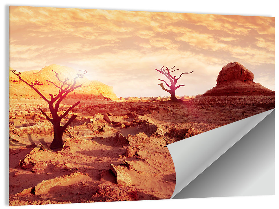Gnarled Trees at Desert Sunset Wall Art