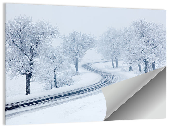 Misty Winter S-curve Road Wall Art as a poster print