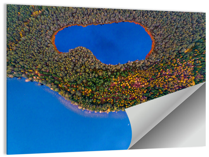 Autumn Forest Lake Wall Art as a poster print