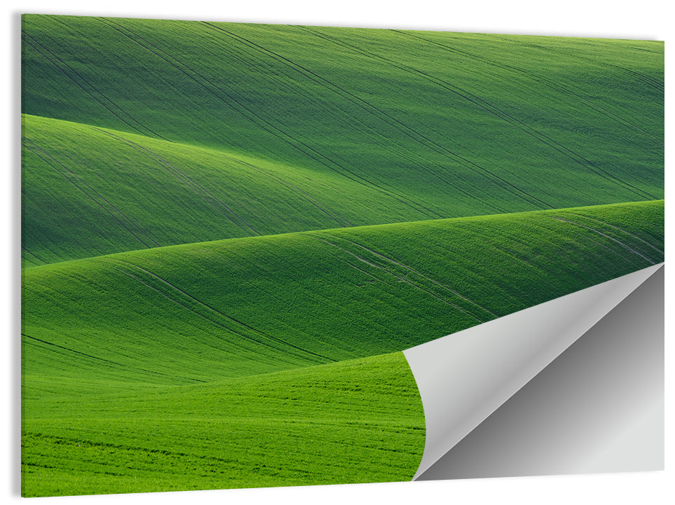Rolling Emerald Wheat Fields Wall Art
