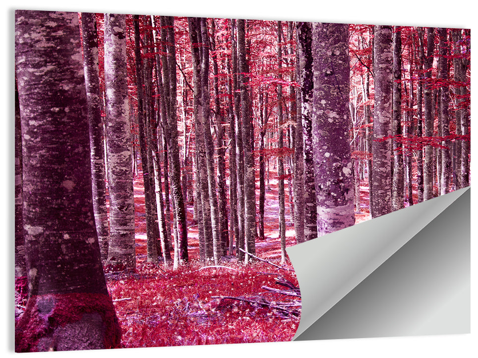 Crimson Woodland Wall Art