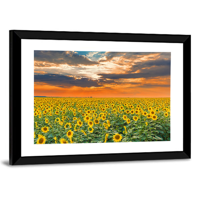 Golden Hour Sunflower Field Wall Art as a framed print