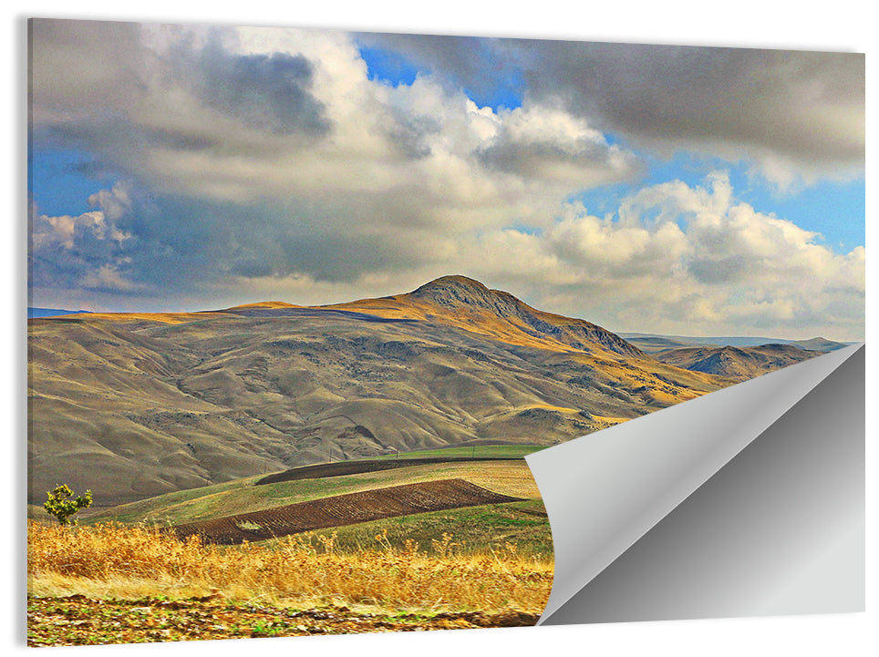Shamakhi Valley Harvest Fields Wall Art