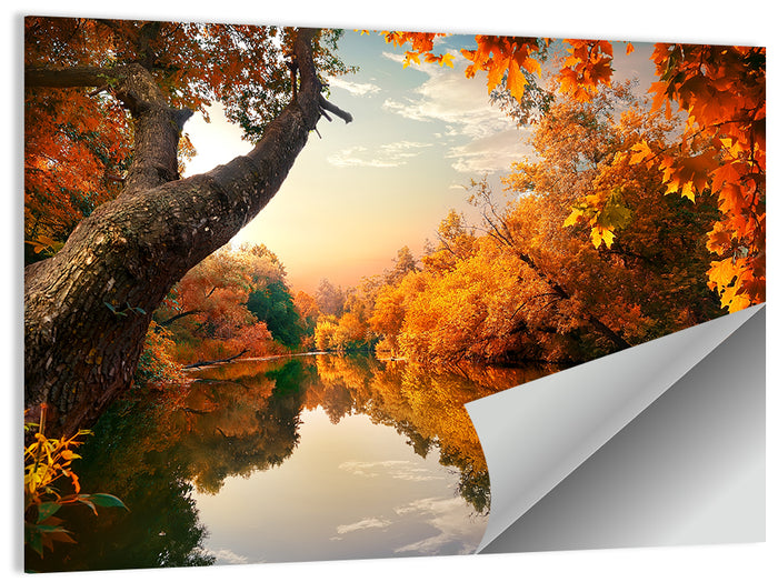 Golden Autumn River Reflections Wall Art as a poster print