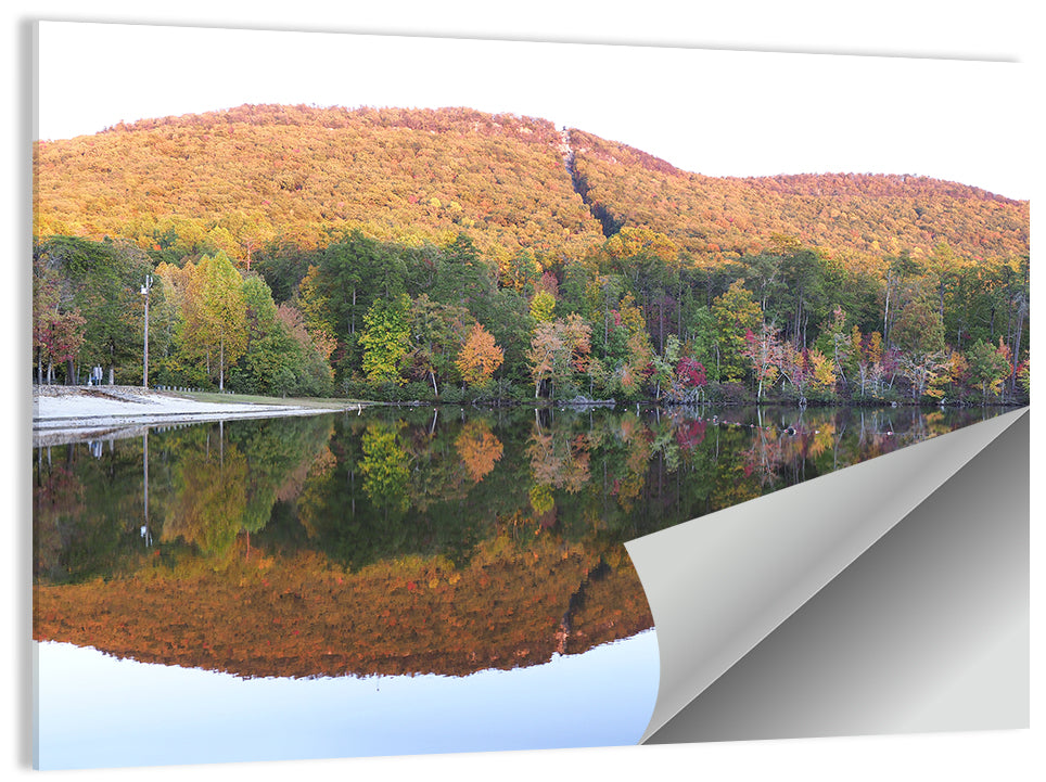 Cheaha State Park Lake Reflection Wall Art