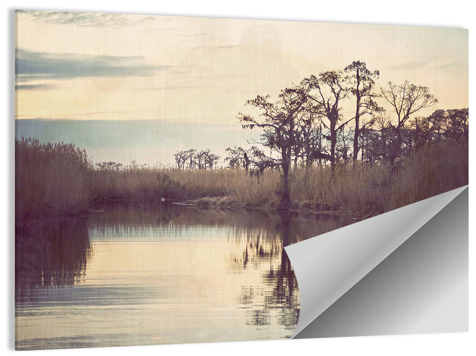 Louisiana Swamp Wall Art