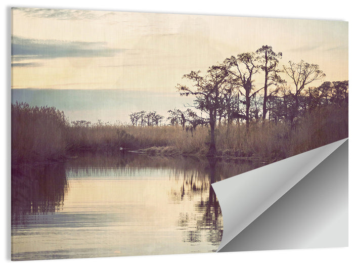 Louisiana Cypress Swamp at Dusk Wall Art as a poster print