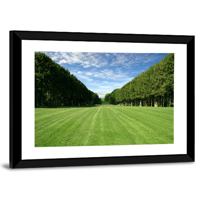 Tree-lined Manicured Lawn Wall Art as a framed print