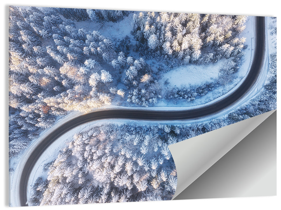 Winding Snow-covered Forest Road Wall Art