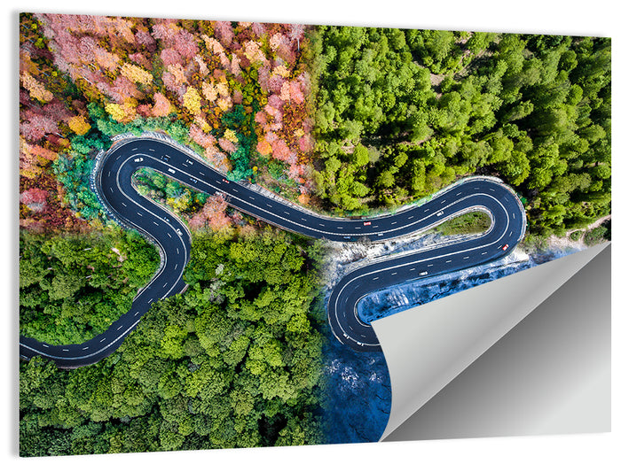 Four Seasons Winding Road Wall Art as a poster print